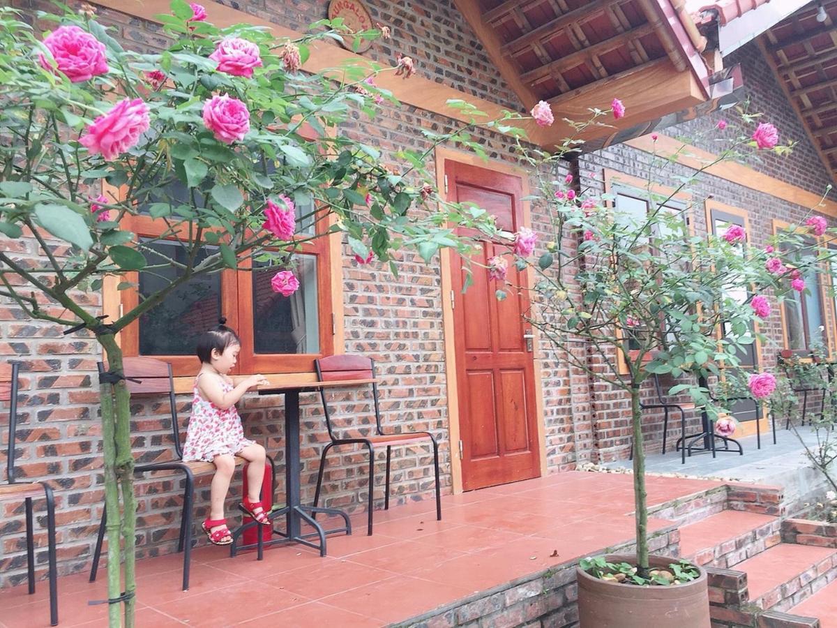 Tam Coc Tropical Homestay Ninh Binh Eksteriør bilde