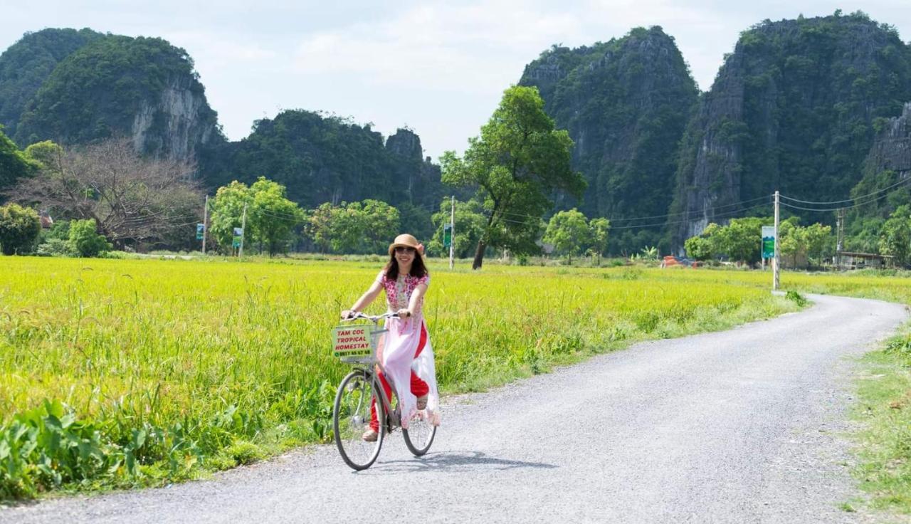 Tam Coc Tropical Homestay Ninh Binh Eksteriør bilde