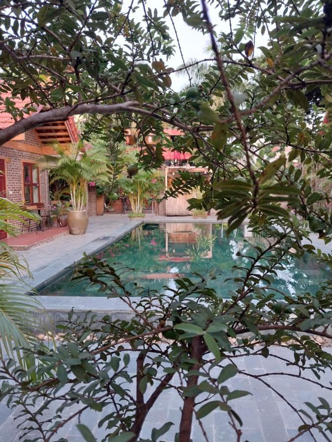 Tam Coc Tropical Homestay Ninh Binh Eksteriør bilde